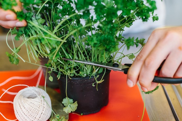 Bouquet garni